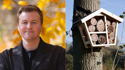 A scientist built 200 hotels for bees. Three years later, the guests he found changed what we know about pollinators and biodiversity