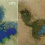 Africa's Lake Chad has shrunk by 90% since 1960, now the government is paying $50 billion to redirect water from the Congo River Basin into the lake