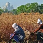 Statistics ministry flags serious gaps in agriculture data collection