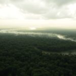 An invisible river above the Amazon carries enough water to equal 14 Mississippis, but scientists fear it could disappear