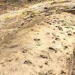 Ancient footprints found in Kenya reveal how early human relatives may have travelled and lived together 1.43 million years ago