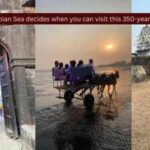 "The Arabian Sea decides when you can visit this 350-year-old fort"; why this Alibag fort is one of the most fascinating heritage sites in Maharashtra