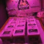 Astronaut reveals the tiny glowing garden inside the International Space Station where scientists are learning how to grow food for future Moon and Mars missions