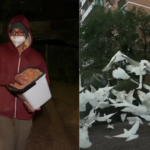 Australia's mysterious 'Birdman' has spent two years feeding birds in the middle of the night, leaving the neighbourhood plagued by a daily 'poo explosion'