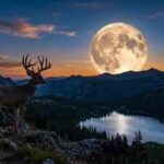 Buck Moon 2026: Date, peak time, meaning, and the best way to watch July's full moon