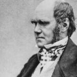 Quote of the day by Charles Darwin: "An American monkey, after getting drunk on brandy, would never touch…" - a witty observation on why humans often repeat the mistakes they already know can harm them