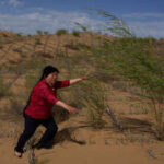 For nearly 50 years, China has placed straw grids across its deserts; desertified land is now shrinking by over 1,000 sq km a year, but scientists say the fight is far from over
