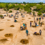 After decades of drought, water is returning to the south of Sahara Desert as ancient farming techniques and the Great Green Wall breathe new life into the Sahel