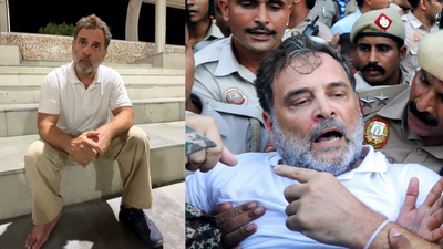 'Government had no interest in debate': Rahul Gandhi on why Congress protested outside PM's residence