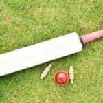 'I am sad, I couldn't be selected': 17-year-old aspiring woman cricketer dies by suicide