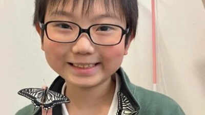 Did the butterflies remember him? Japanese student's discovery uncovers astonishing insect memory