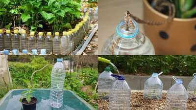 DIY water drip system for your mini garden: Turn plastic bottles and thread into a simple self-watering setup