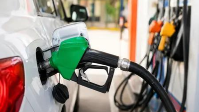 MPs ask why govt didn’t inform owners of non-E20 vehicles about mileage loss