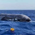 Elon Musk’s previous Starships exploded or broke apart after splashdown; Flight 13 landed so gently that the 171-foot spacecraft remained afloat in the Indian Ocean for five days