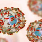 Explosive stomach infection hits US, how the parasite Cyclospora makes people unwell and what researchers know so far about its source