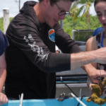 Florida scientists bring endangered elkhorn coral ashore fearing another heatwave could drive it to extinction
