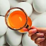 Rotten eggs, spoiled parathas: Swiggy gets 9 notices from FSSAI