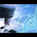 Girl died after gene-editing treatment in China: Report