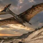 Germany's fossil-rich limestone has revealed prehistoric giants for centuries, but scientists have now uncovered a previously unknown flying reptile that lived 150 million years ago