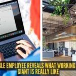 Google Job Experience: She got her dream job at Google, but says the reality was different: Indian employee shares honest experience