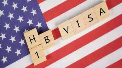 US government updates list of H-1B Debarred and Disqualified companies; names these four as 'willful violators'; here's what this means