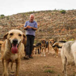 Houssein Hamze’s rescued dog pulled him from bed moments before a bomb struck in 2006; when war returned, he refused to leave Lebanon’s abandoned animals