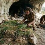 How ancient humans made their beds: 200,000-year-old grass reveals a prehistoric cleaning routine