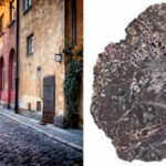 A piece of Europe 5 km down, heated to 240°C and later returned to the surface. How? Fossilised wood shows