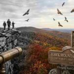 In 1934, this Pennsylvania mountain went from a hawk killing ground to the world's first raptor sanctuary and changed bird conservation forever