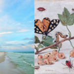 In 1966, scientists wiped out nearly every insect on tiny Florida islands to see how nature would rebuild itself