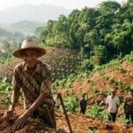 In 1996, Indonesia's 'crazy' tree planter who was mocked for his mission planted 11,000 trees and turned barren hills into a green paradise