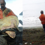 In 2015, two men bought live sea turtles from a Papua New Guinea food market and set them free instead of letting them become food