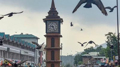 India rolls out 'White Rabbit' tech to secure Indian Standard Time network: What it means