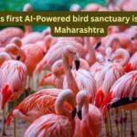 Ai-Powered Bird Sanctuary: India's first AI-Powered bird sanctuary is coming to Maharashtra; here's what travellers can expect
