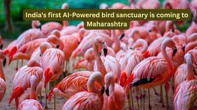 Ai-Powered Bird Sanctuary: India's first AI-Powered bird sanctuary is coming to Maharashtra; here's what travellers can expect