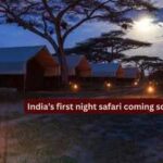 Kukrail Night Safari: India’s first night safari coming soon to Lucknow’s Kukrail Forest; set to offer a one-of-a-kind wildlife experience