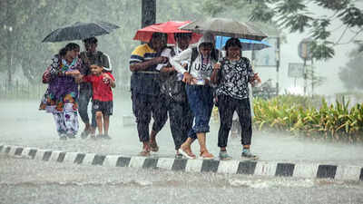 Karnataka school holiday: Schools, colleges shut in Hosanagar and Sagar taluks of Shivamogga due to heavy rain