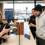 Man steals kitten, tries to rob a Maryland bank but gets caught; feline Magnolia is now looking for a ‘law-abiding’ owner!