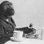 Meet Corporal Jackie: The South African baboon who served alongside soldiers during the First World War and became a war hero