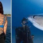 Meet Emily Morrison: The marine biologist who sets a world record for 106 shark tattoos to raise awareness for shark conservation