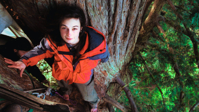 Meet Julia Butterfly Hill: The 23-year-old woman who climbed a 1,000-year-old tree and stayed there for 738 days to save it from being cut down