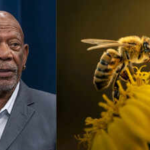 Meet Morgan Freeman: The Oscar-winning actor who gave up harvesting honey and turned his 124-acre ranch into a safe haven for bees