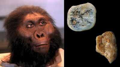 Meet Paranthropus: The ancient human cousin that may have made the first stone tools 2.6 million years ago