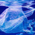 Microplastics have reached one of Earth’s most isolated ecosystems: Indian Ocean animals carried up to 14.7 times more particles than Pacific specimens