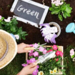 7 flowers, fruits, and vegetables to plant in the UK