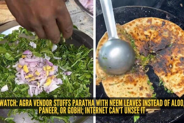 Agra vendor stuffs paratha with neem leaves instead of aloo, paneer, or gobhi; internet can't unsee it