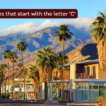 There are only 3 American states that start with the letter 'C'; here's why every traveller on a U.S trip should visit them