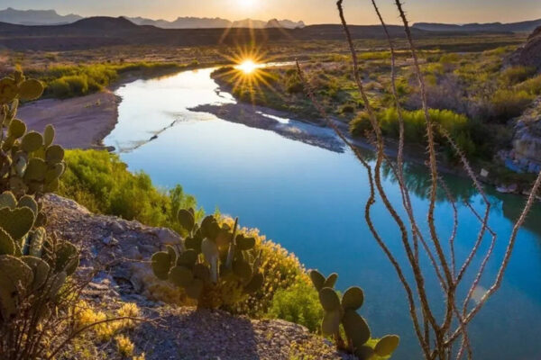 5 Best places in the US to spot snakes this August—A must-visit for wildlife enthusiasts