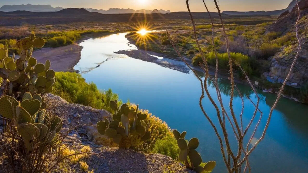 5 Best places in the US to spot snakes this August—A must-visit for wildlife enthusiasts