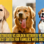 Which is best suited for families with children